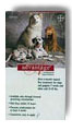 Advantage Flea Control Dog Red 21-55 lbs.