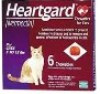 heartgard cat