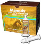 marquis oral paste