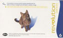 revolution cat